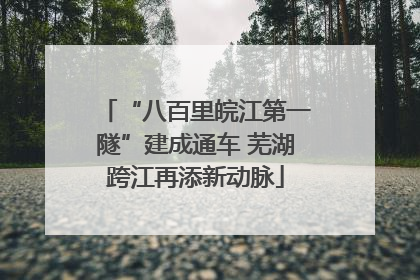 “八百里皖江第一隧”建成通车 芜湖跨江再添新动脉